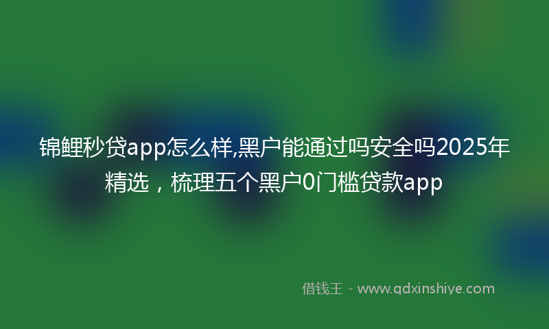 锦鲤秒贷app怎么样,黑户能通过吗安全吗2025年精选，梳理五个黑户0门槛贷款app