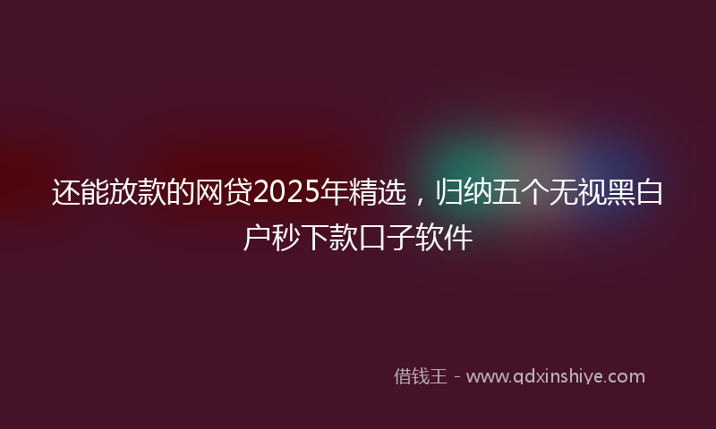 还能放款的网贷2025年精选，归纳五个无视黑白户秒下款口子软件