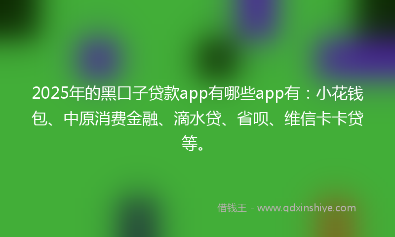 2025年的黑口子贷款app有哪些app有：小花钱包、中原消费金融、滴水贷、省呗、维信卡卡贷等。