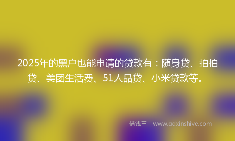 2025年的黑户也能申请的贷款有：随身贷、拍拍贷、美团生活费、51人品贷、小米贷款等。