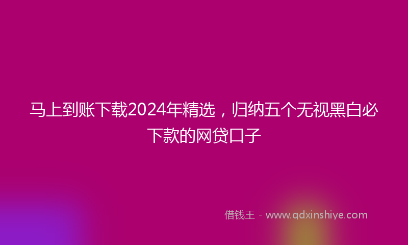 马上到账下载2024年精选，归纳五个无视黑白必下款的网贷口子