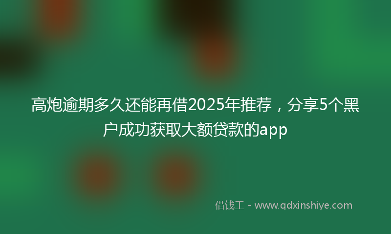 高炮逾期多久还能再借2025年推荐，分享5个黑户成功获取大额贷款的app