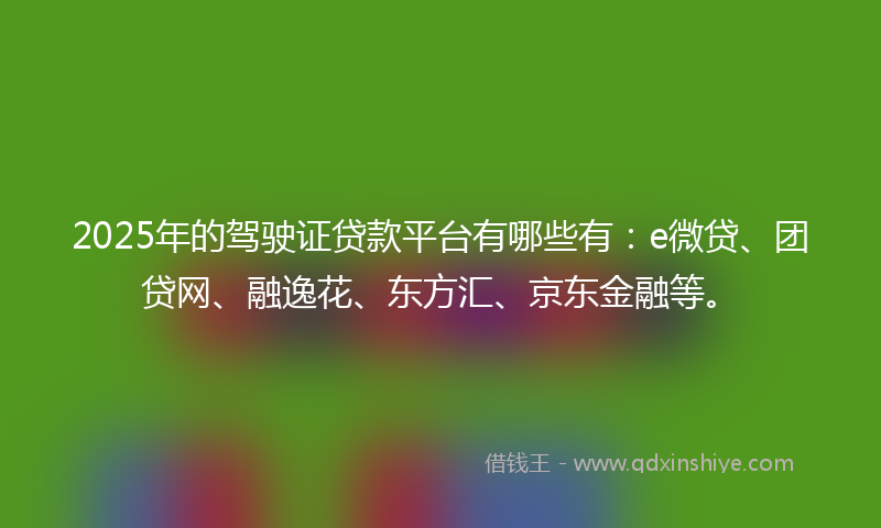 2025年的驾驶证贷款平台有哪些有：e微贷、团贷网、融逸花、东方汇、京东金融等。