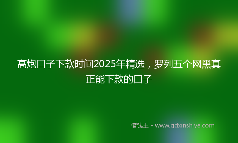 高炮口子下款时间2025年精选，罗列五个网黑真正能下款的口子