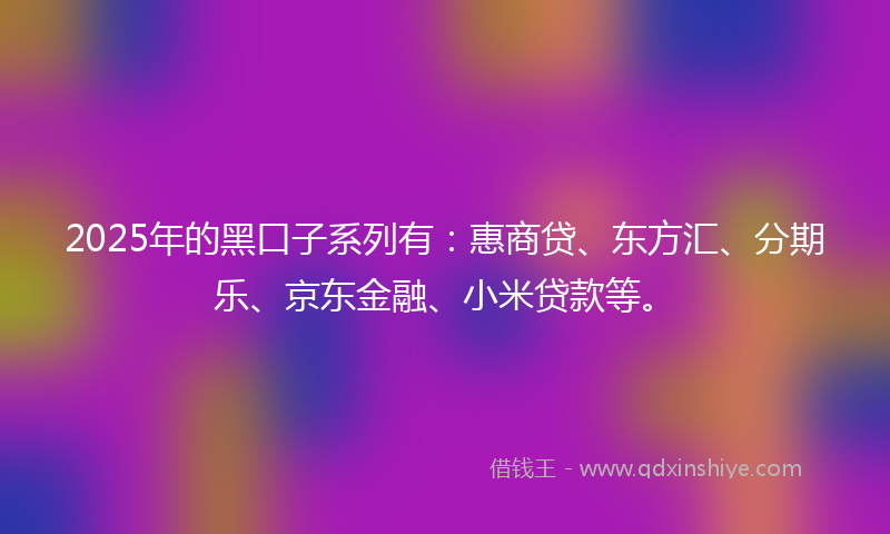 2025年的黑口子系列有：惠商贷、东方汇、分期乐、京东金融、小米贷款等。
