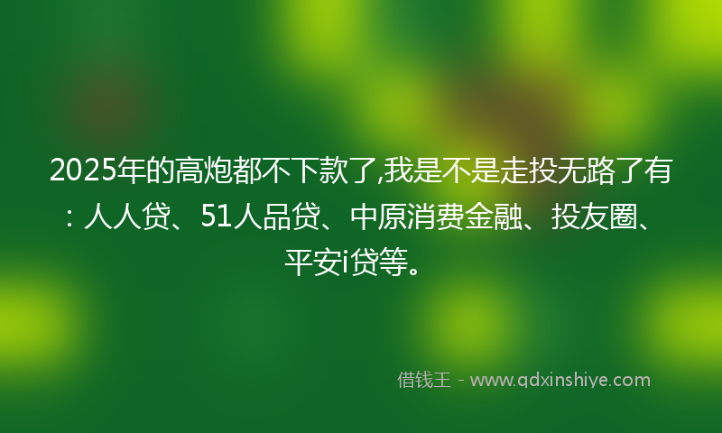 2025年的高炮都不下款了,我是不是走投无路了有：人人贷、51人品贷、中原消费金融、投友圈、平安i贷等。