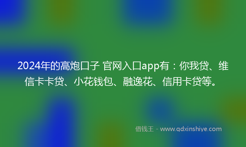 2024年的高炮口子 官网入口app有：你我贷、维信卡卡贷、小花钱包、融逸花、信用卡贷等。