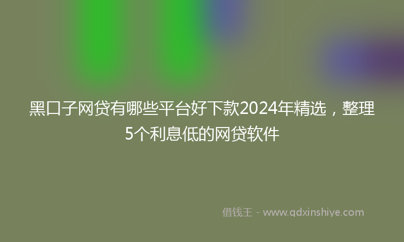 黑口子网贷有哪些平台好下款2024年精选，整理5个利息低的网贷软件