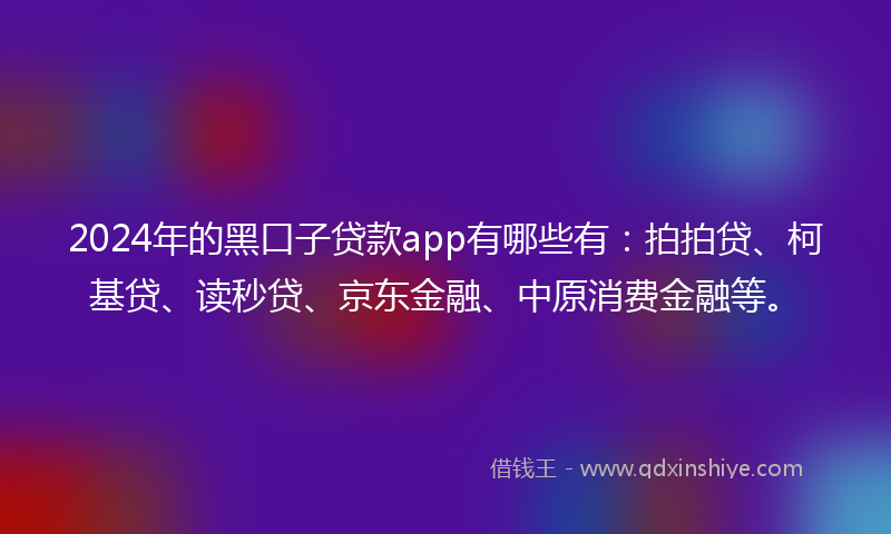 2024年的黑口子贷款app有哪些有：拍拍贷、柯基贷、读秒贷、京东金融、中原消费金融等。