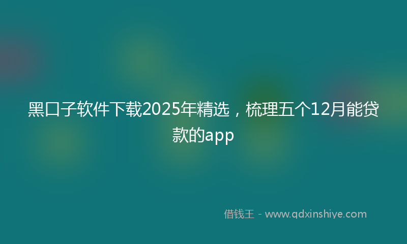 黑口子软件下载2025年精选，梳理五个12月能贷款的app