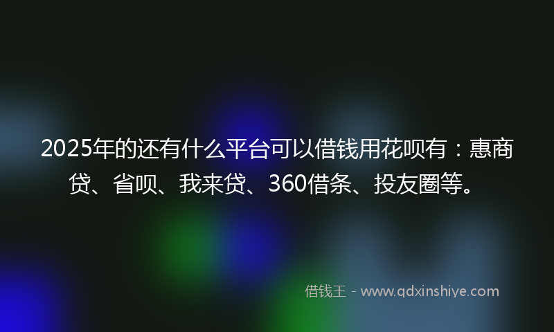 2025年的还有什么平台可以借钱用花呗有：惠商贷、省呗、我来贷、360借条、投友圈等。