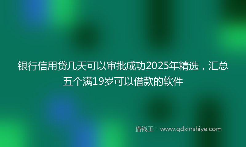 银行信用贷几天可以审批成功2025年精选，汇总五个满19岁可以借款的软件