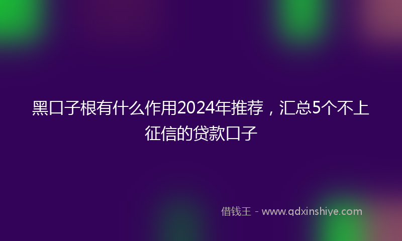 黑口子根有什么作用2024年推荐，汇总5个不上征信的贷款口子