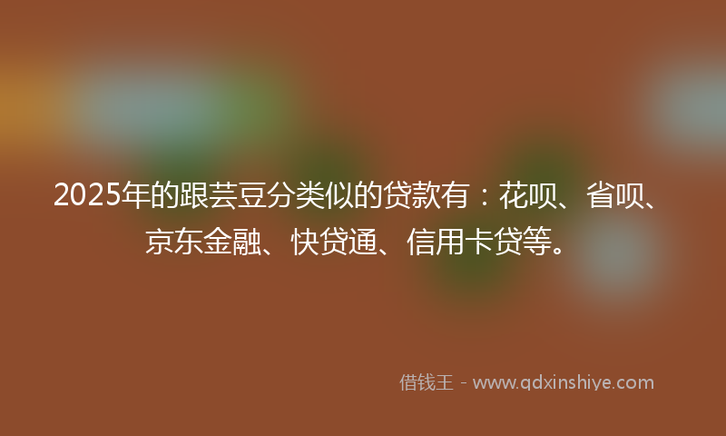 2025年的跟芸豆分类似的贷款有：花呗、省呗、京东金融、快贷通、信用卡贷等。