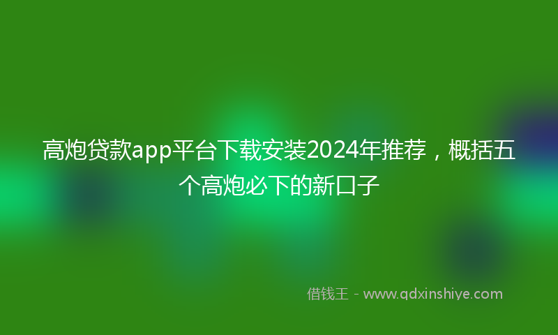 高炮贷款app平台下载安装2024年推荐，概括五个高炮必下的新口子