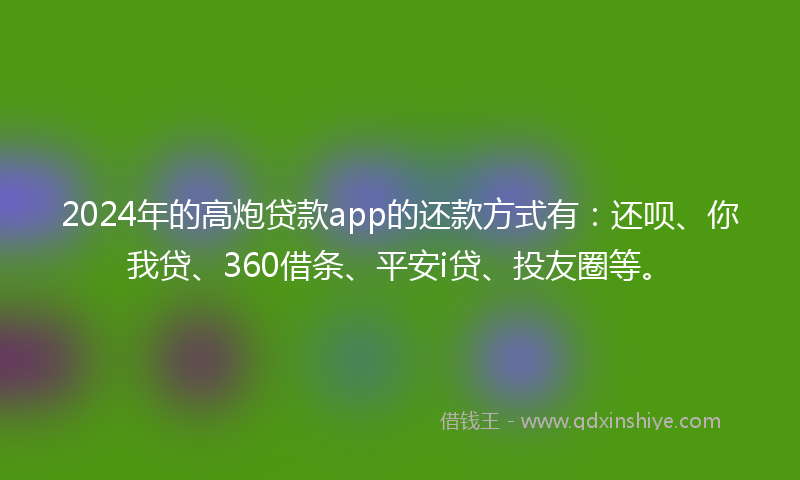 2024年的高炮贷款app的还款方式有：还呗、你我贷、360借条、平安i贷、投友圈等。