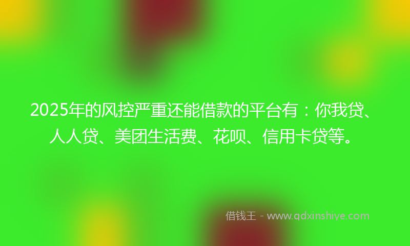 2025年的风控严重还能借款的平台有：你我贷、人人贷、美团生活费、花呗、信用卡贷等。
