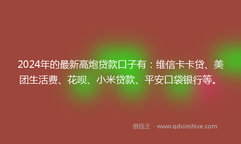 2024年的最新高炮贷款口子有：维信卡卡贷、美团生活费、花呗、小米贷款、平安口袋银行等。