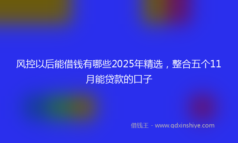 风控以后能借钱有哪些2025年精选，整合五个11月能贷款的口子