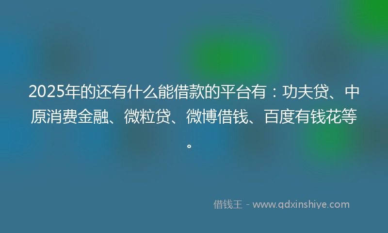 2025年的还有什么能借款的平台有：功夫贷、中原消费金融、微粒贷、微博借钱、百度有钱花等。