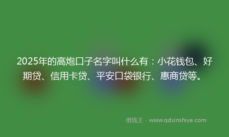 2025年的高炮口子名字叫什么有：小花钱包、好期贷、信用卡贷、平安口袋银行、惠商贷等。