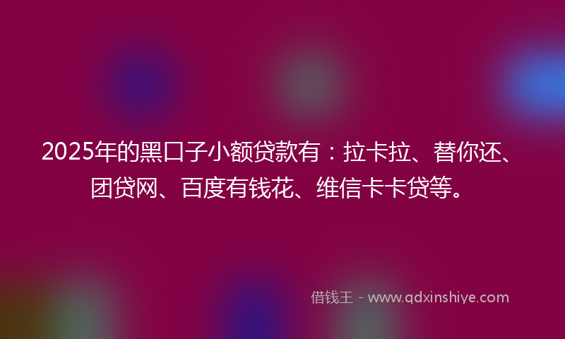2025年的黑口子小额贷款有：拉卡拉、替你还、团贷网、百度有钱花、维信卡卡贷等。