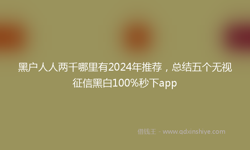 黑户人人两千哪里有2024年推荐，总结五个无视征信黑白100%秒下app
