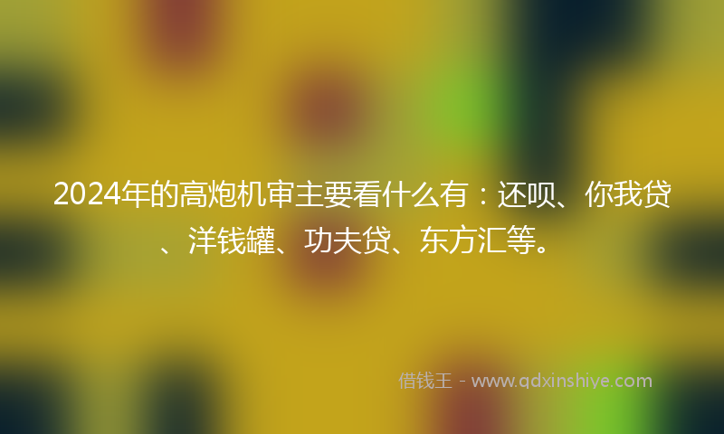 2024年的高炮机审主要看什么有：还呗、你我贷、洋钱罐、功夫贷、东方汇等。