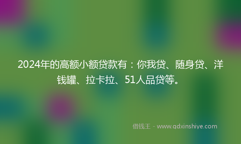 2024年的高额小额贷款有：你我贷、随身贷、洋钱罐、拉卡拉、51人品贷等。