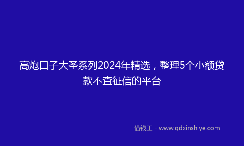 高炮口子大圣系列2024年精选，整理5个小额贷款不查征信的平台