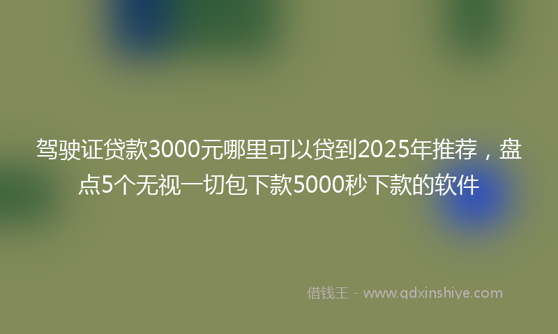 驾驶证贷款3000元哪里可以贷到2025年推荐，盘点5个无视一切包下款5000秒下款的软件