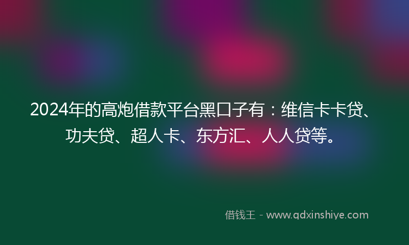 2024年的高炮借款平台黑口子有：维信卡卡贷、功夫贷、超人卡、东方汇、人人贷等。