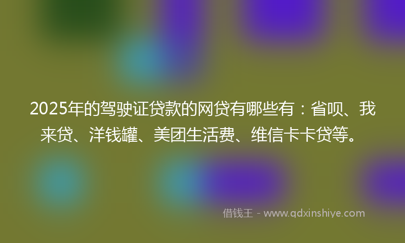 2025年的驾驶证贷款的网贷有哪些有：省呗、我来贷、洋钱罐、美团生活费、维信卡卡贷等。