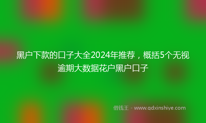 黑户下款的口子大全2024年推荐，概括5个无视逾期大数据花户黑户口子