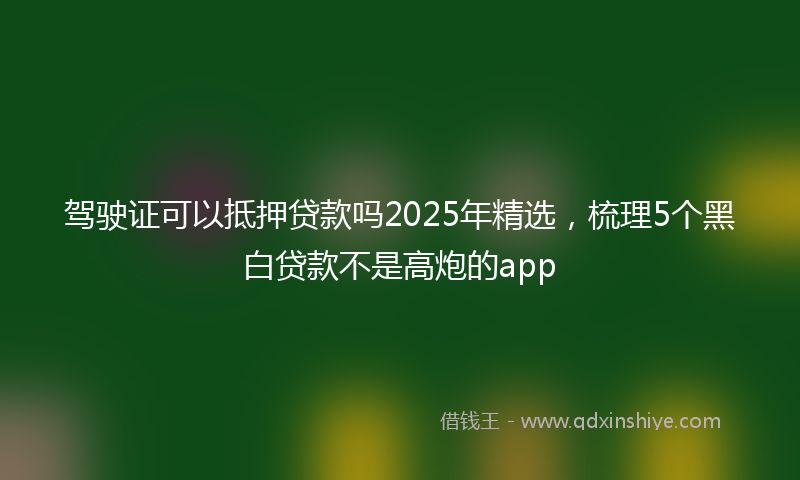 驾驶证可以抵押贷款吗2025年精选，梳理5个黑白贷款不是高炮的app