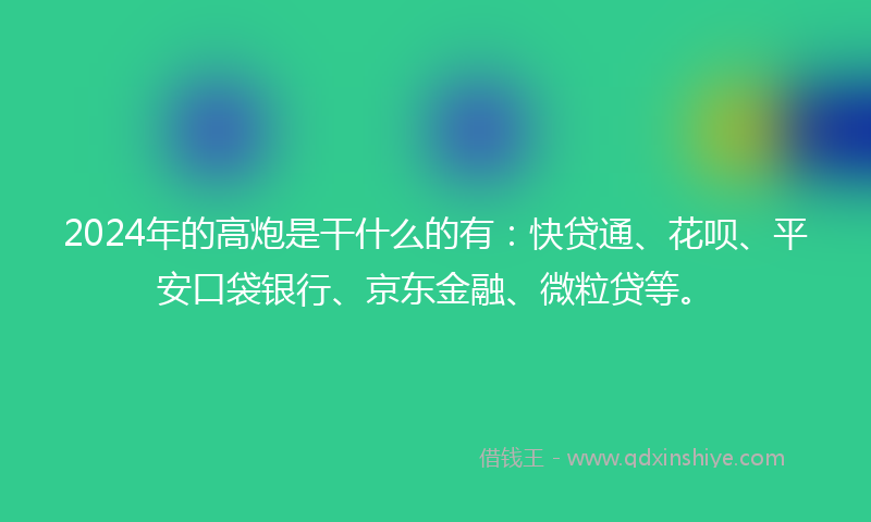 2024年的高炮是干什么的有：快贷通、花呗、平安口袋银行、京东金融、微粒贷等。