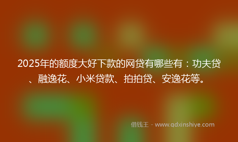 2025年的额度大好下款的网贷有哪些有：功夫贷、融逸花、小米贷款、拍拍贷、安逸花等。
