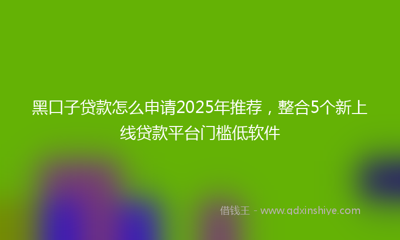 黑口子贷款怎么申请2025年推荐，整合5个新上线贷款平台门槛低软件