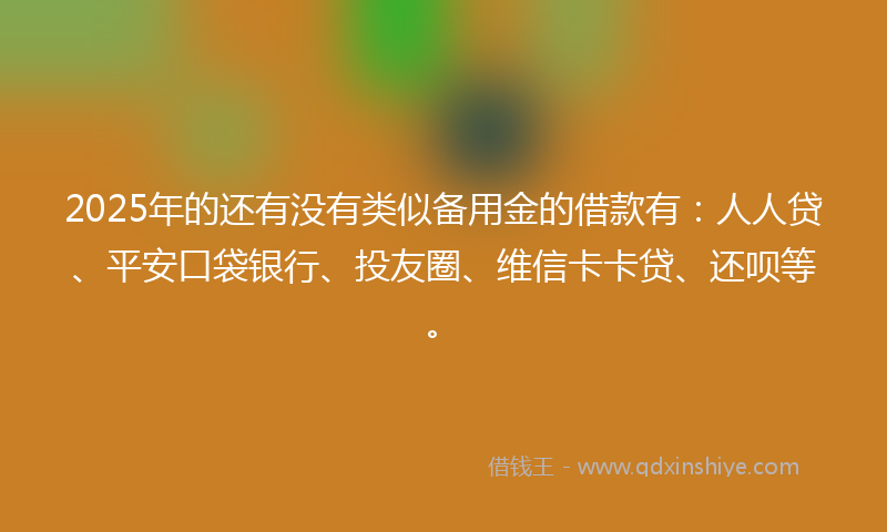2025年的还有没有类似备用金的借款有：人人贷、平安口袋银行、投友圈、维信卡卡贷、还呗等。