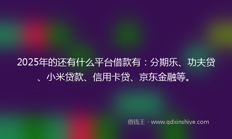 2025年的还有什么平台借款有：分期乐、功夫贷、小米贷款、信用卡贷、京东金融等。