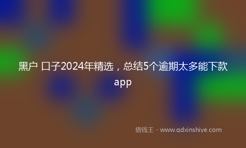黑户 口子2024年精选，总结5个逾期太多能下款app