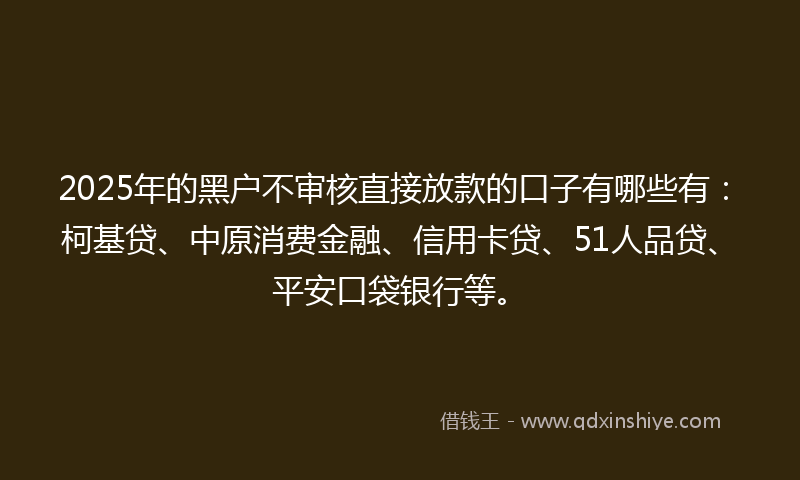 2025年的黑户不审核直接放款的口子有哪些有：柯基贷、中原消费金融、信用卡贷、51人品贷、平安口袋银行等。