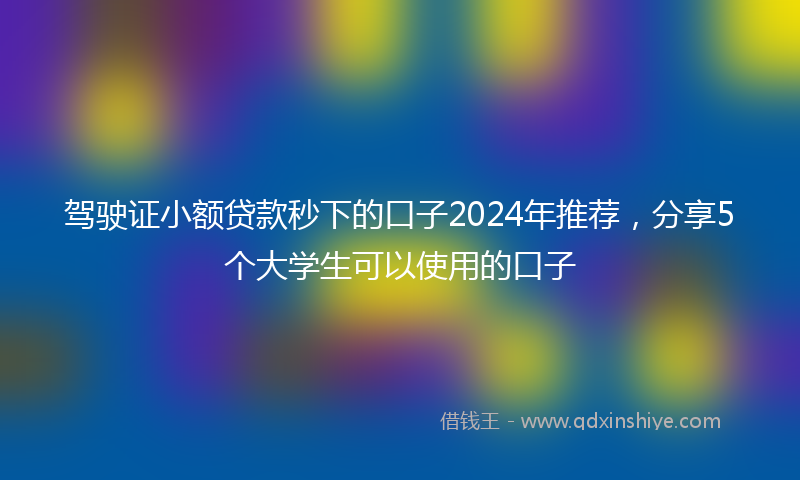 驾驶证小额贷款秒下的口子2024年推荐，分享5个大学生可以使用的口子