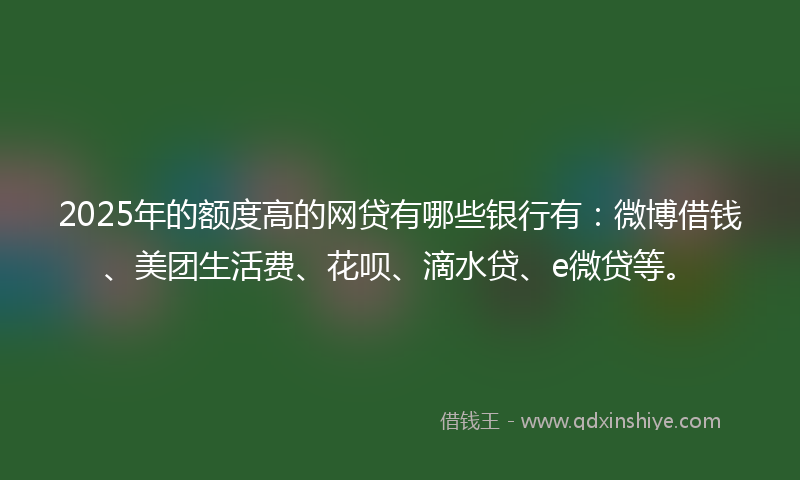 2025年的额度高的网贷有哪些银行有：微博借钱、美团生活费、花呗、滴水贷、e微贷等。