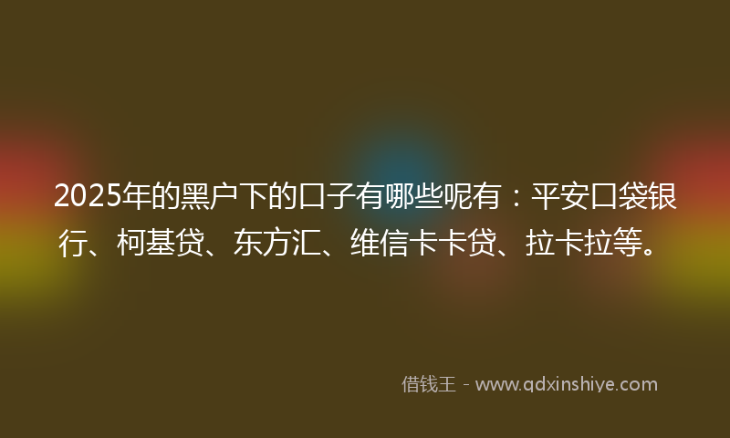 2025年的黑户下的口子有哪些呢有：平安口袋银行、柯基贷、东方汇、维信卡卡贷、拉卡拉等。