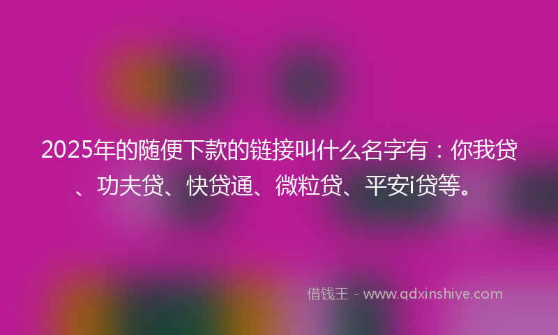 2025年的随便下款的链接叫什么名字有：你我贷、功夫贷、快贷通、微粒贷、平安i贷等。