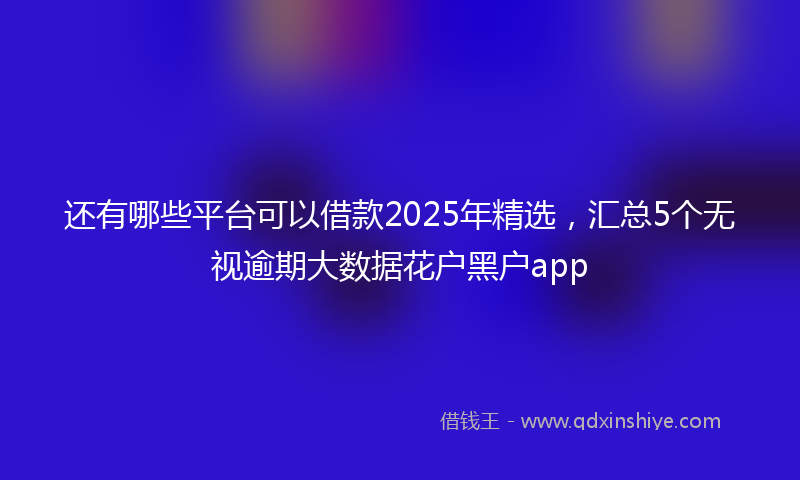 还有哪些平台可以借款2025年精选，汇总5个无视逾期大数据花户黑户app