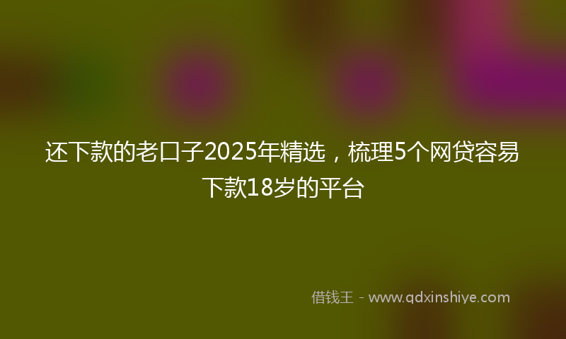 还下款的老口子2025年精选，梳理5个网贷容易下款18岁的平台
