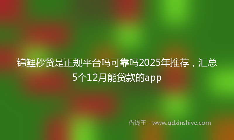 锦鲤秒贷是正规平台吗可靠吗2025年推荐，汇总5个12月能贷款的app