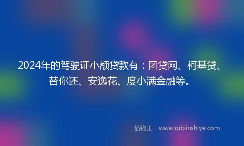 2024年的驾驶证小额贷款有：团贷网、柯基贷、替你还、安逸花、度小满金融等。
